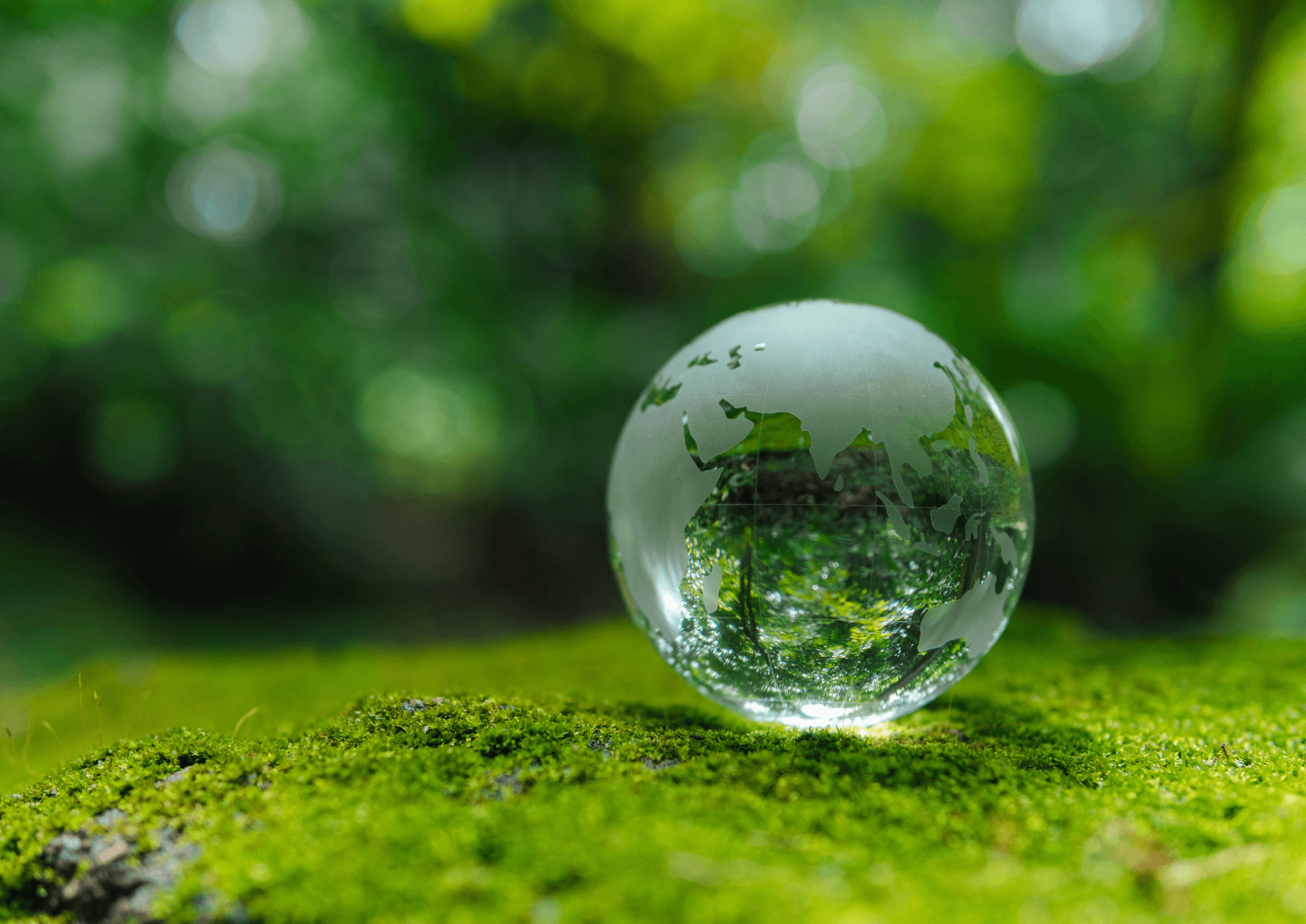 Sustainability